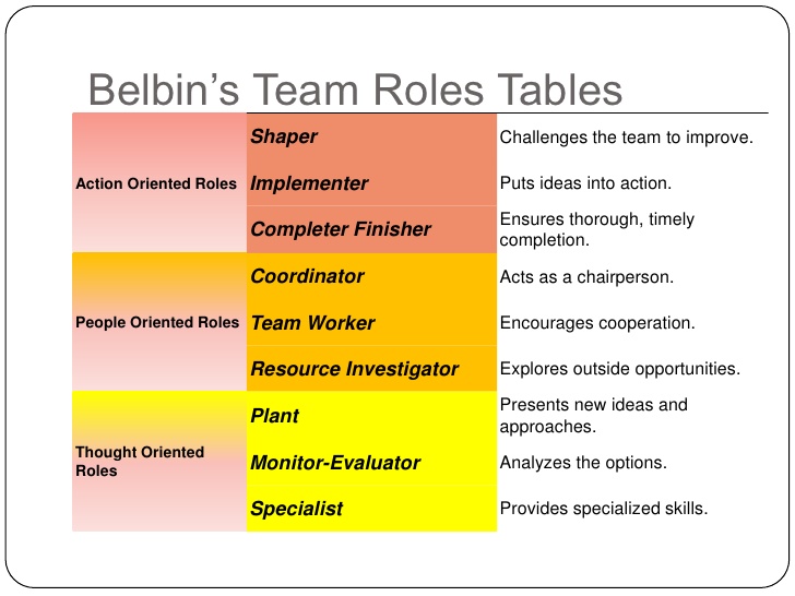 Team Role Theories